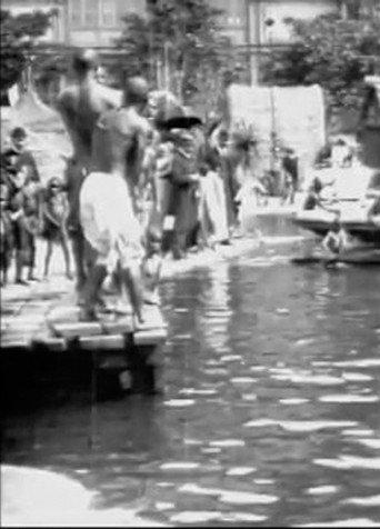 Baignade de nègres afişi