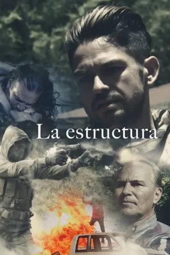 La estructura afişi