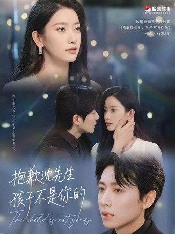 抱歉沈先生，孩子不是你的 afişi