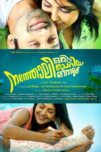 നത്തോലി ഒരു ചെറിയ മീനല്ല afişi