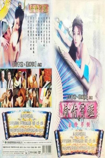 偷情宝鉴之金枪不倒 afişi