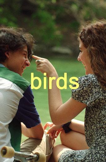 Birds afişi