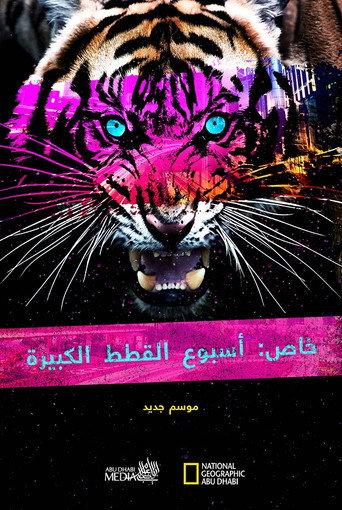 Big Cat Week Collection afişi