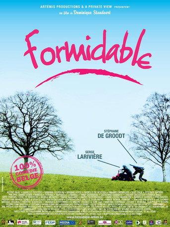Formidable afişi