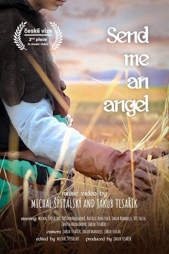 Send me an Angel afişi