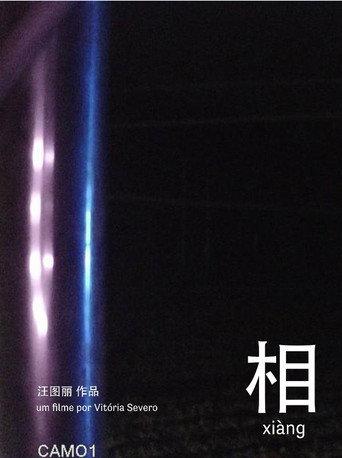 相 xiàng afişi