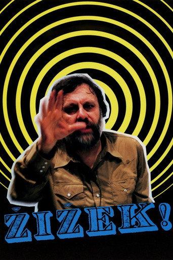 Žižek! afişi