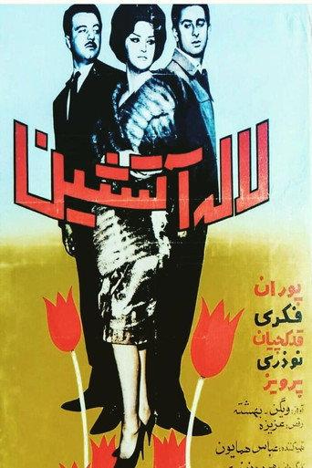 لاله آتشین afişi