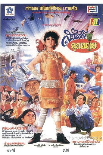 สวัสดีคุณนาย afişi