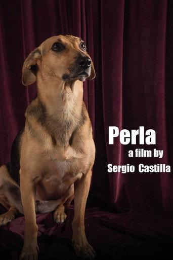 Perla: La Película afişi