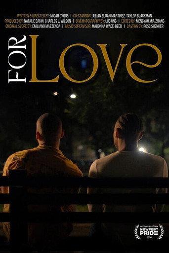 For Love afişi
