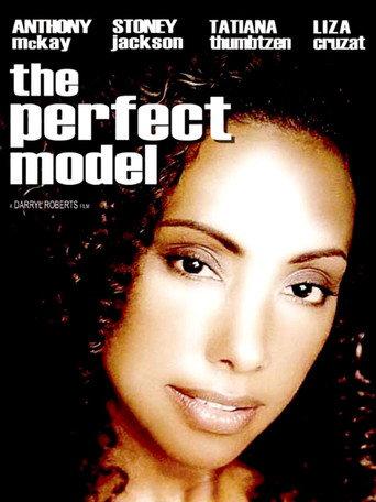 The Perfect Model afişi