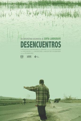 Desencuentros afişi