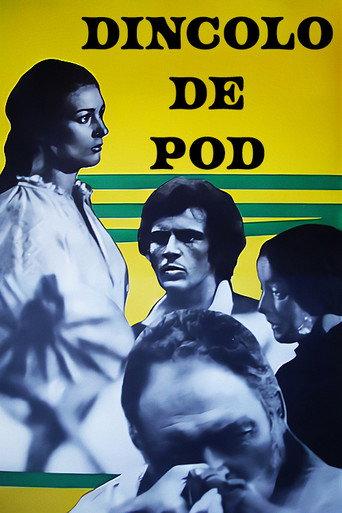 Dincolo de pod afişi