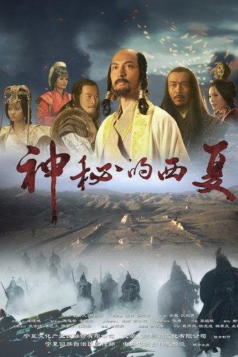 神秘的西夏 afişi