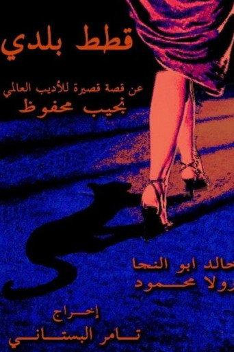 قطط بلدي afişi