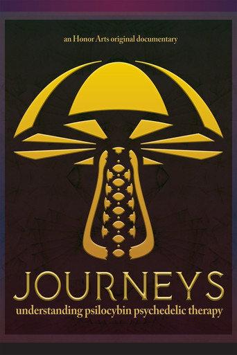Journeys afişi