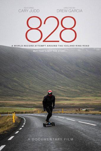 828 afişi