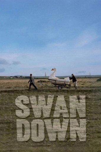 Swandown afişi