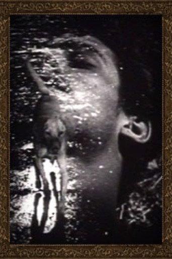 Buñuel afişi